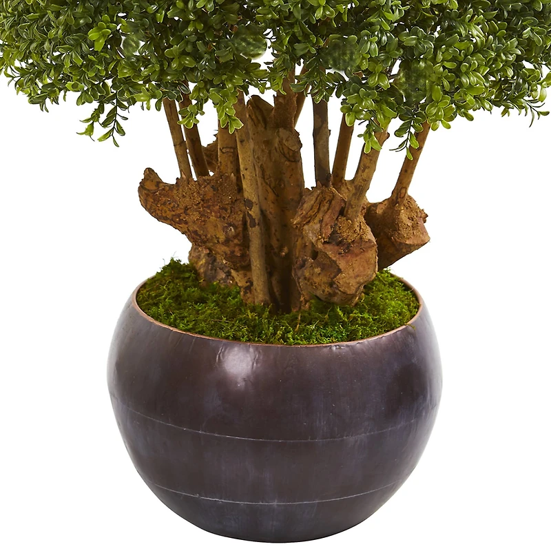 3.2ft. Boxwood Topiary Tree in Decorative Bowl