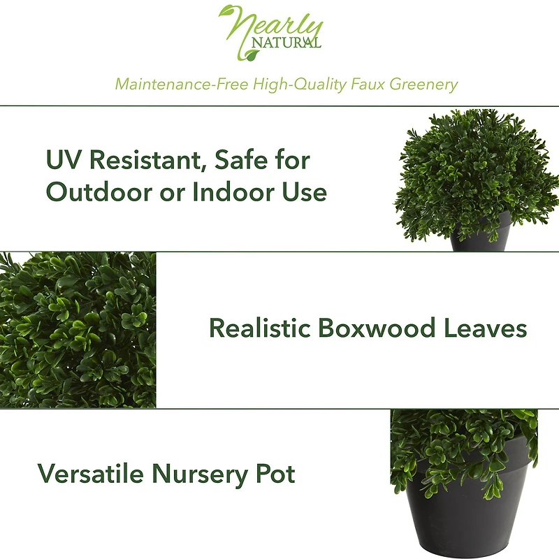 10” Potted Boxwood Topiary Plant