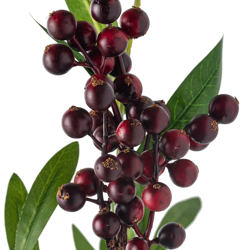 Burgundy Berry Stem by Ashland®