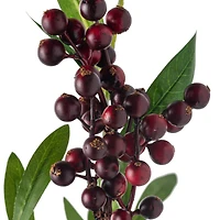 Burgundy Berry Stem by Ashland®