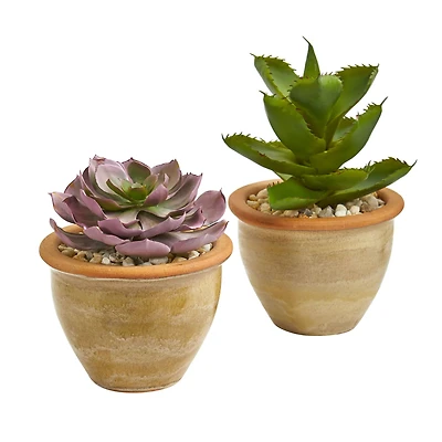 12" Purple & Green Succulents in Ceramic Vases, 2ct.