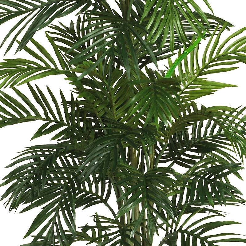 4.6ft. Areca Palm Tree with Basket