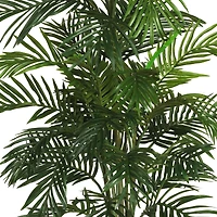 4.6ft. Areca Palm Tree with Basket