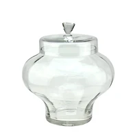 14.5" Transparent Segmented Glass Container with Lid