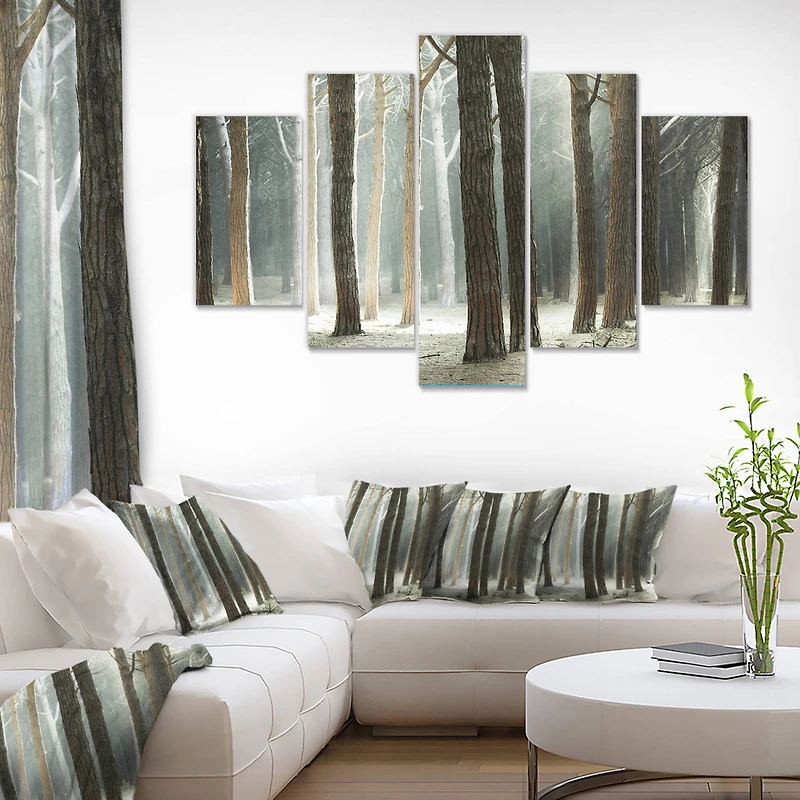 Designart - Maritime Pine Tree Forest with Rays