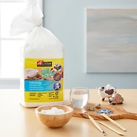 Activa® CelluClay® Instant Papier Mâché