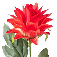 Red Hops Stem by Ashland®