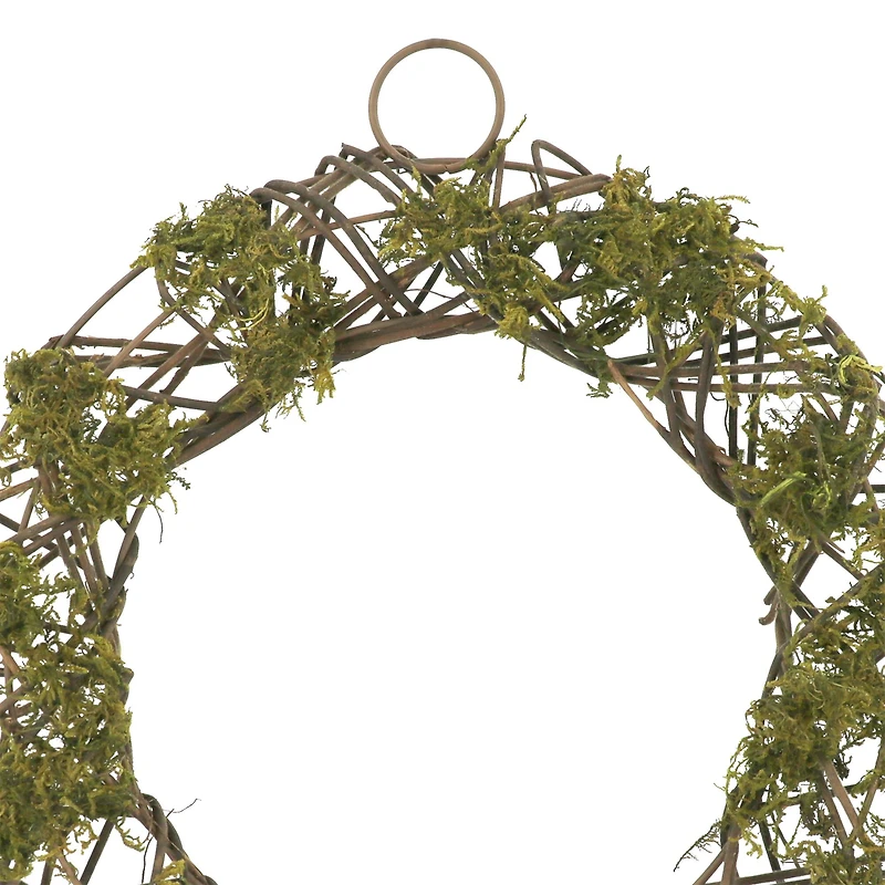 12" Green Moss & Twig Wreath Form by Ashland®