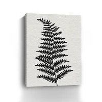 Forest Fern II Canvas Giclee