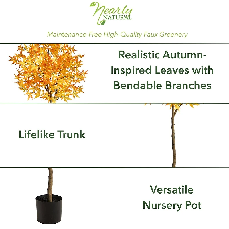 5ft. Potted Yellow Autumn Maple Tree