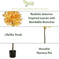 5ft. Potted Yellow Autumn Maple Tree