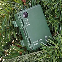 First Traditions™ 24'' Pre-Lit Artificial North Conway Wreath with Glittery Cones and Eucalyptus