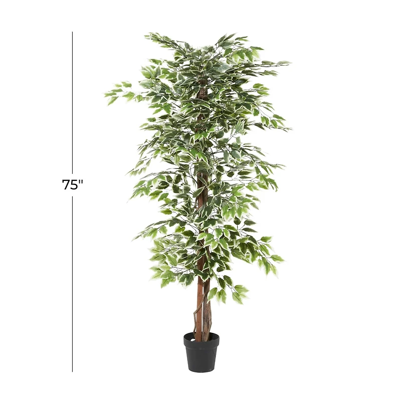 6ft. Potted Ficus Tree