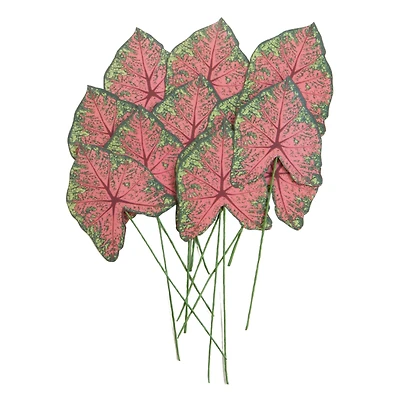 Green & Pink Paper Caladium Leaves by Recollections™