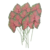 Green & Pink Paper Caladium Leaves by Recollections™