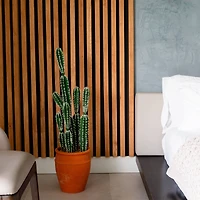 3ft. Cactus in Terracotta Planter