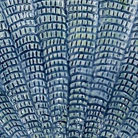 Hello Honey® 6" Blue & Peach Stoneware Shell Bowl Set