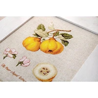 Luca-s The Pear Shaped Quince Counted Cross Stitch Kit
