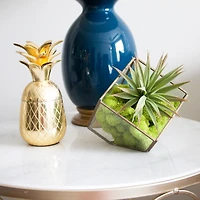 12 Pack: Reindeer Moss by Ashland®