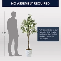 American Art Decor 5ft. Olive Tree in White Ceramic Pot