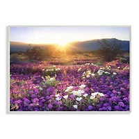 Stupell Industries Dune Wildflowers at Sunset Framed Wall Art