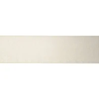 2.5" x 10yd. Sheer Ribbon by Celebrate It® Specialty