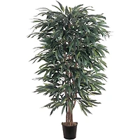 5ft. Potted Weeping Ficus Tree
