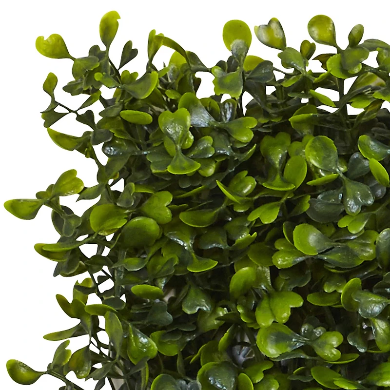 Green Boxwood Mat Set, 12ct. 