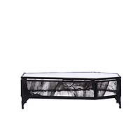 7" Glass Coffin Box Tabletop Décor by Ashland®