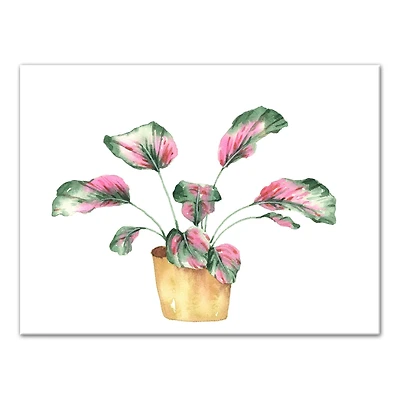 Coastal Beach Plant 16" x 12" Canvas Wall Art