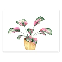 Coastal Beach Plant 16" x 12" Canvas Wall Art