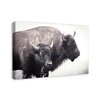 Two Bison 20" x 30" Canvas Wall Art