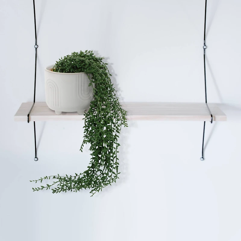 Flora Bunda® 17" String of Pearls in White Rainbow Ceramic Pot