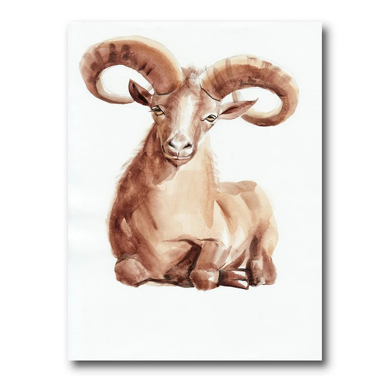 Designart - Portrait of Wild Ram With Mighty Horns II