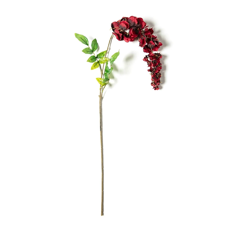 Burgundy Wisteria Stem by Ashland®