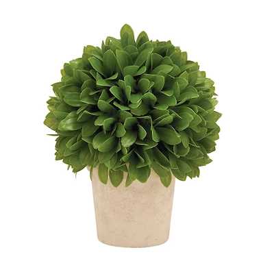 10" Boxwood Topiary in Decorative Planter