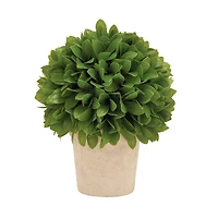 10" Boxwood Topiary in Decorative Planter