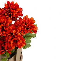 20" Orange Fall Harvest Mum Plant In Pot