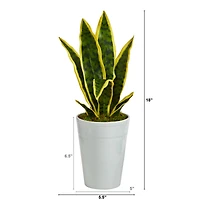 18" Snake Plant in Decorative White Planter