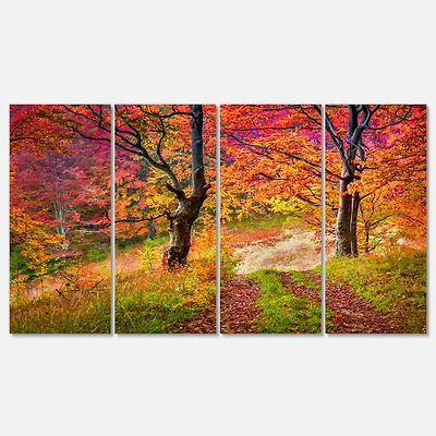 Designart - Bright Colorful Fall Trees in Forest