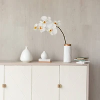 20" Phalaenopsis Orchid Artificial Flower (Set of 12)