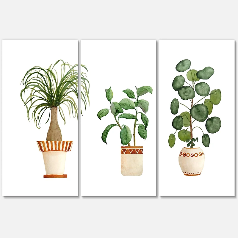 Designart - Trio of House Plants Ponytail Palm and Ficus