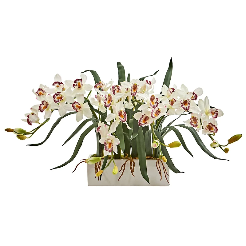15" White Boat Orchid Arrangement in White Vase