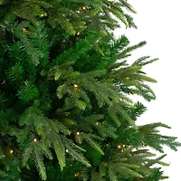 6.5ft. Pre-Lit Roosevelt Fir Artificial Christmas Tree, Warm White LED Lights