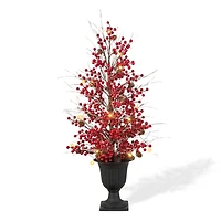 3ft. Pre-Lit Berry & Pinecone Artificial Urn Christmas Porch Tree, Warm White LED Lights