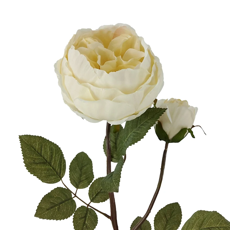 24" Cream Cabbage Rose Stem by Ashland®