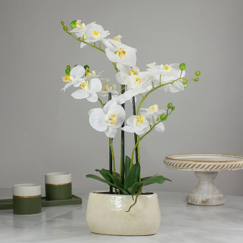 22" White Orchid Plant in White Oval Pot