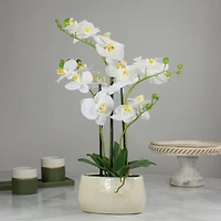 22" White Orchid Plant in White Oval Pot