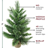 2ft. Unlit Mixed Cashmere Pine Artificial Potted Christmas Tree