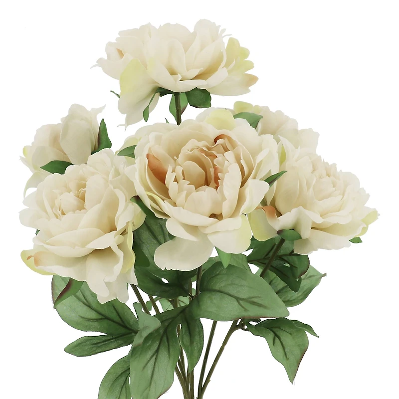 19" Peony Deluxe Bush by Ashland
